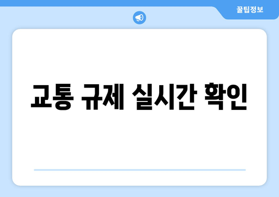 교통 규제 실시간 확인