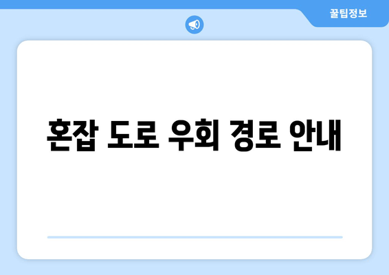 혼잡 도로 우회 경로 안내