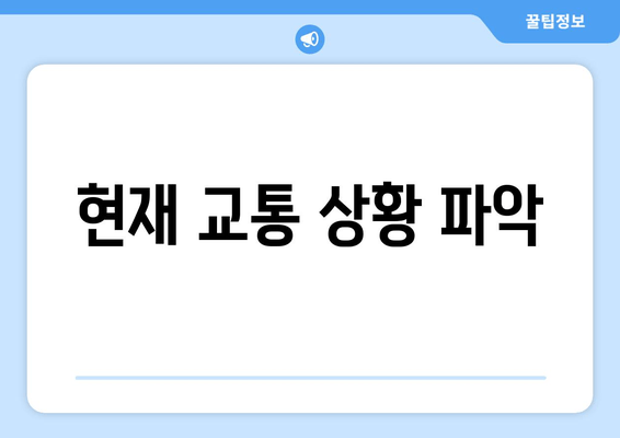 현재 교통 상황 파악