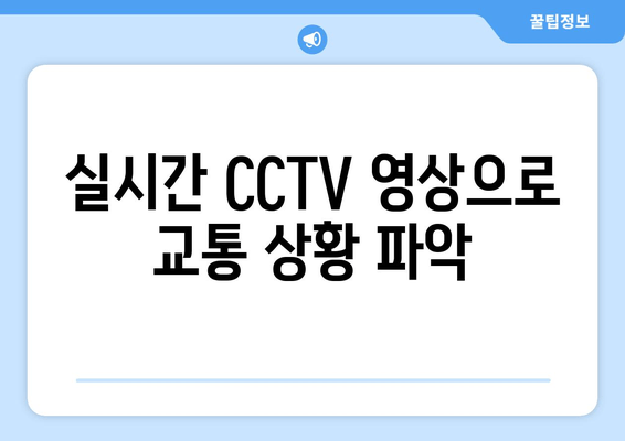 실시간 CCTV 영상으로 교통 상황 파악