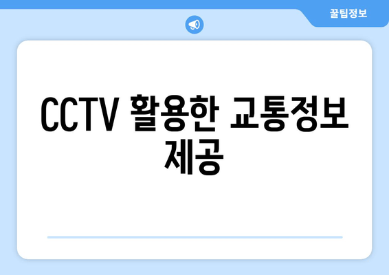 CCTV 활용한 교통정보 제공