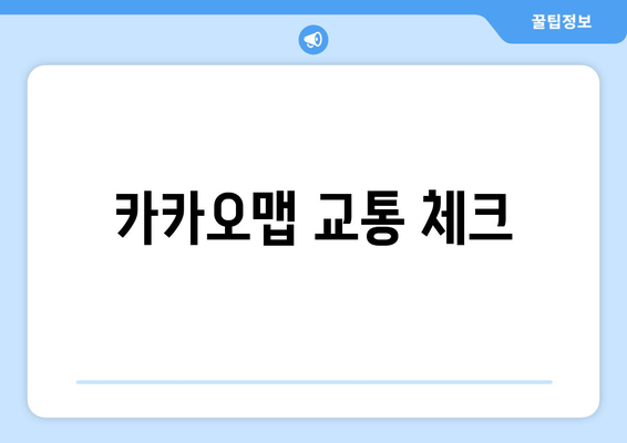 카카오맵 교통 체크