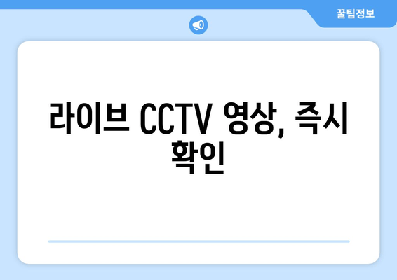 라이브 CCTV 영상, 즉시 확인