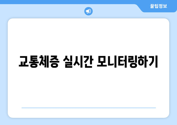 교통체증 실시간 모니터링하기