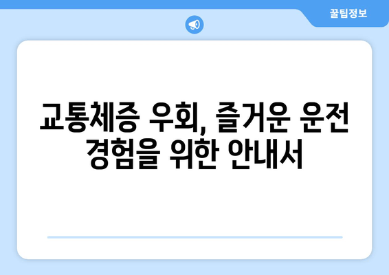 교통체증 우회, 즐거운 운전 경험을 위한 안내서