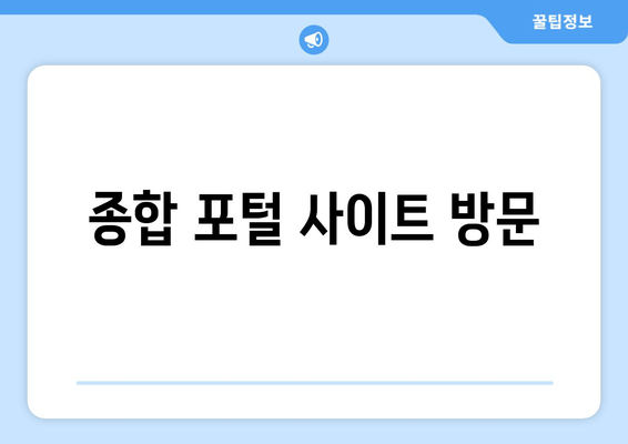 종합 포털 사이트 방문