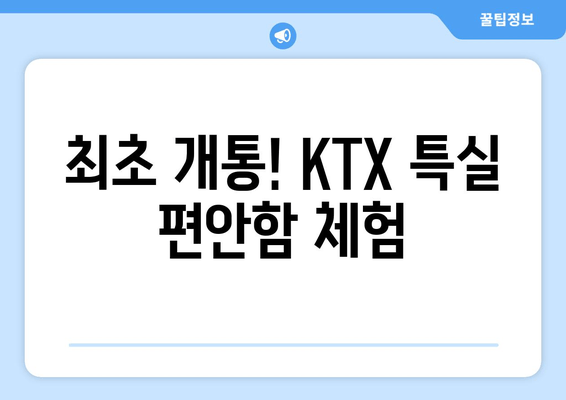 최초 개통! KTX 특실 편안함 체험