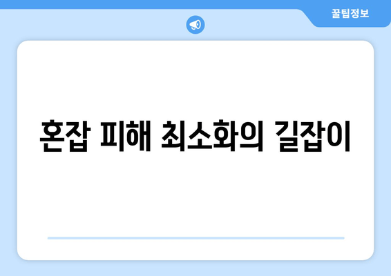 혼잡 피해 최소화의 길잡이