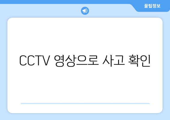 CCTV 영상으로 사고 확인