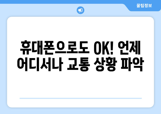 휴대폰으로도 OK! 언제 어디서나 교통 상황 파악