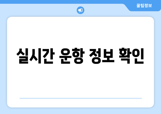 실시간 운항 정보 확인