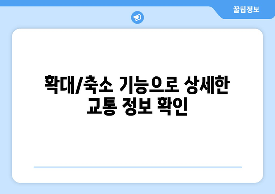 확대/축소 기능으로 상세한 교통 정보 확인