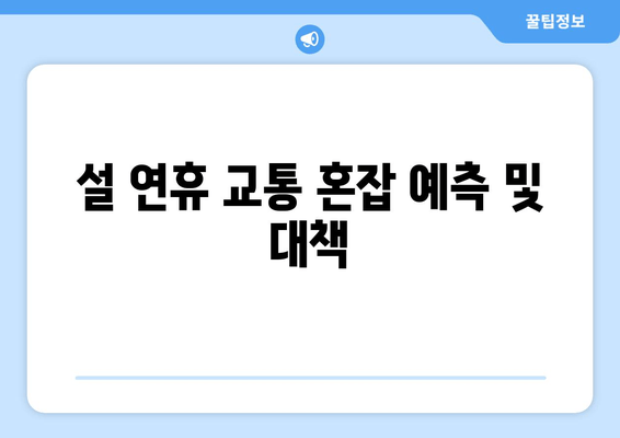 설 연휴 교통 혼잡 예측 및 대책