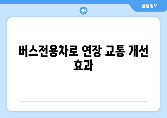 버스전용차로 연장 교통 개선 효과