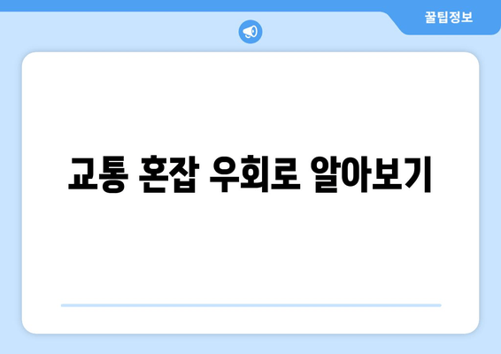 교통 혼잡 우회로 알아보기