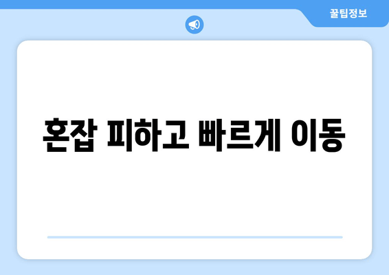 혼잡 피하고 빠르게 이동