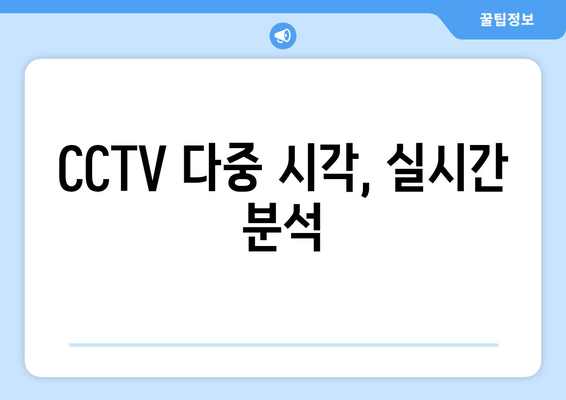 CCTV 다중 시각, 실시간 분석