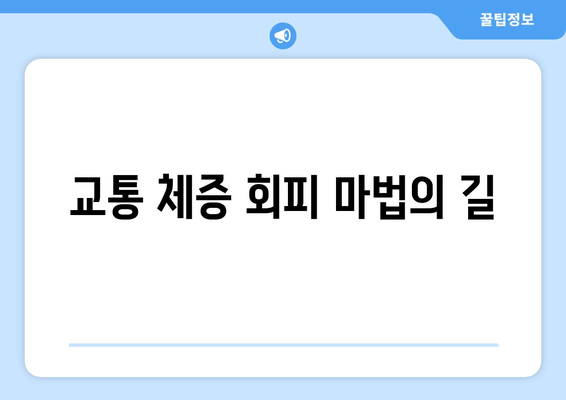 교통 체증 회피 마법의 길