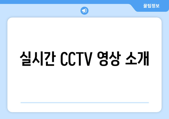 실시간 CCTV 영상 소개