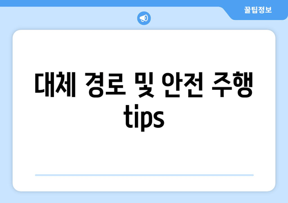 대체 경로 및 안전 주행 tips