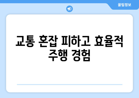 교통 혼잡 피하고 효율적 주행 경험