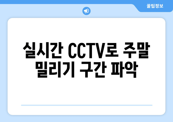 실시간 CCTV로 주말 밀리기 구간 파악