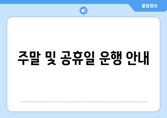 주말 및 공휴일 운행 안내