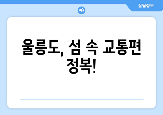 울릉도, 섬 속 교통편 정복!