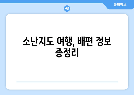 소난지도 여행, 배편 정보 총정리