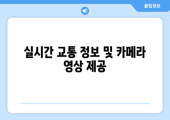 실시간 교통 정보 및 카메라 영상 제공