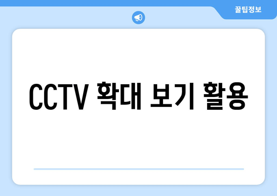 CCTV 확대 보기 활용