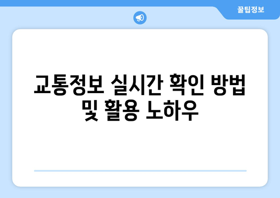 교통정보 실시간 확인 방법 및 활용 노하우