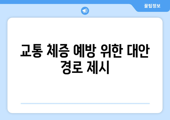 교통 체증 예방 위한 대안 경로 제시