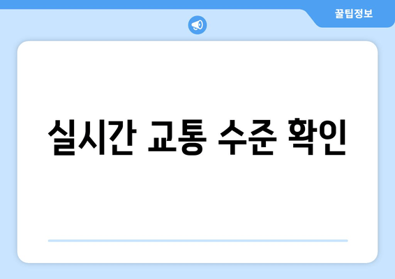 실시간 교통 수준 확인