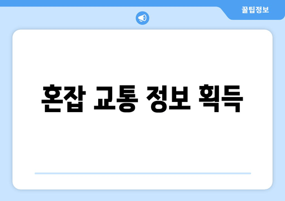 혼잡 교통 정보 획득