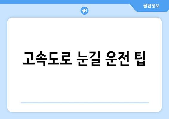 고속도로 눈길 운전 팁