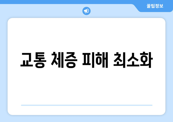 교통 체증 피해 최소화