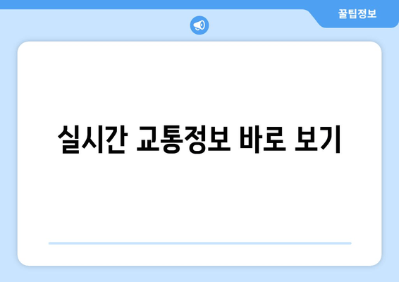 실시간 교통정보 바로 보기