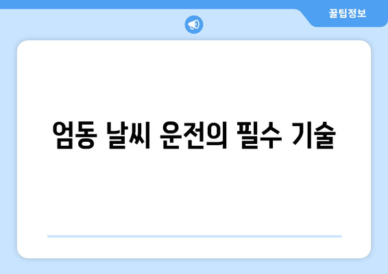 엄동 날씨 운전의 필수 기술