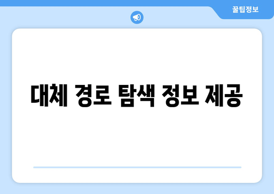 대체 경로 탐색 정보 제공