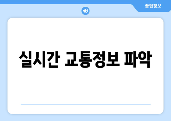 실시간 교통정보 파악