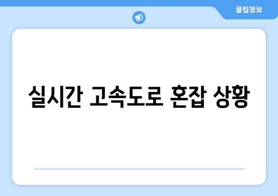 실시간 고속도로 혼잡 상황