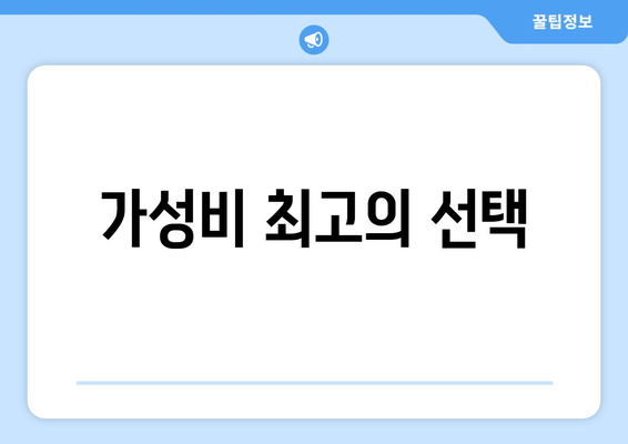 가성비 최고의 선택