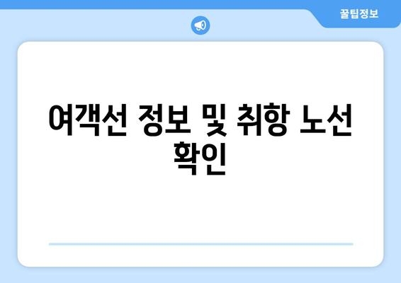 여객선 정보 및 취항 노선 확인