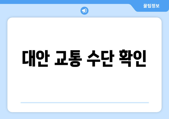 대안 교통 수단 확인