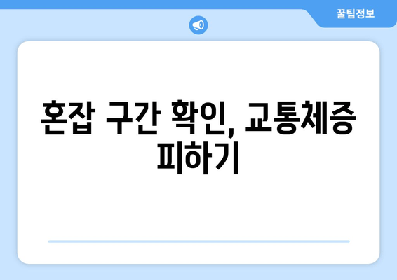 혼잡 구간 확인, 교통체증 피하기