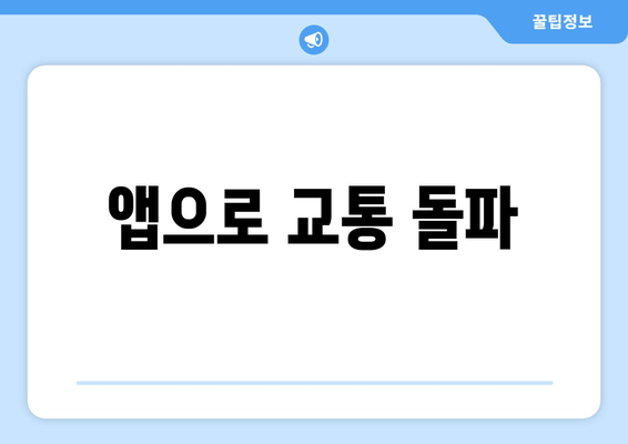 앱으로 교통 돌파