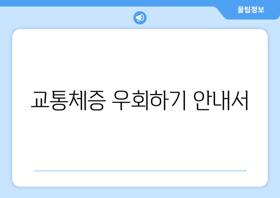 교통체증 우회하기 안내서