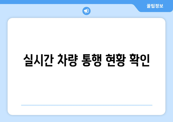 실시간 차량 통행 현황 확인