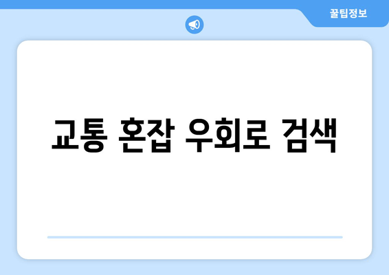 교통 혼잡 우회로 검색